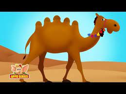 If you found mistakes, please help us by correcting them. Alice The Camel Has Five Humps Lyrics English Nursery Rhymes