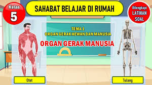 16/7/2021 · kunci jawaban tema 1 kelas 5 subtema 2 pembelajaran 4 tentang manusia dan lingkungan halaman 88 89 90 91 92 93 94 95 97 98 99 100 101 102 103. Mengapa Tanpa Organ Gerak Manusia Dan Hewan Tidak Dapat Bergerak Ini Jawaban Tema 1 Kelas 5 Sd Fotokita