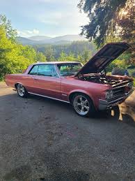 Image result for Sunfire Red 1964 GTO