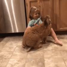 Share A Banana With Me Gif Cute Small Animals Cute Animals Happy Animals