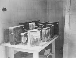 Campos De Concentração Da Segunda Guerra Mundial Polemica As Macabras Pesquisas Nazistas Contribuiram Para A Ciencia Ciencias Macabro Campos De Concentracao