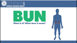 Bun Blood Urea Nitrogen What Is It What Does It Mean Youtube