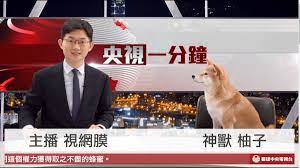 眼球中央电视台 （以中华民国视角，用央视口吻报道台湾时政新闻，我超推荐的，神兽柚子好可爱） 今天再补充一个： taiwan bar 起初介绍台湾历史，现在涉猎广泛难以简单概括，大体是介绍台湾文化、族群等一些冷知识。 Wcdoddubioiqjm
