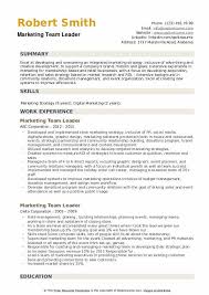 Tailor your resume by picking relevant responsibilities from the examples below and then add your accomplishments. Marketing Team Leader Resume Samples Qwikresume