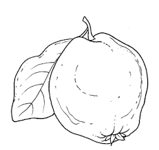 Resultado De Imagem Para Desenhos De Frutos De Outono Para Pintar Boyama Sayfalari Sanat Etkinlikleri Meyve