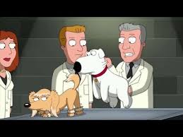 These anime dogs don't bite! Brian Forced Mating Family Guy Youtube