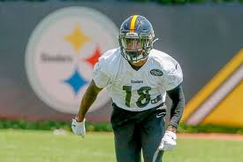 steelers rookie wr diontae johnson coaches told me im the