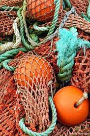 pin de nan poole em treant azul e laranja gravuras emolduradas estampas