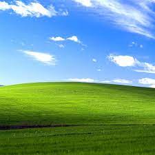 We did not find results for: Windows Xp Background Now And Then Popsugar Tech
