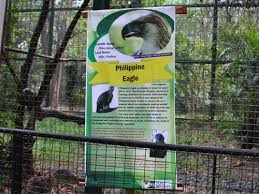 And every saturday, i went to ninoy aquino parks and wildlife center to jog/walk for at least an hour. Ninoy Aquino Parks And Wildlife Center Signage By Category Animals Philippine Eagle