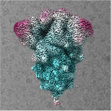 You will find more information in www.janssen.com. Scientific Highlights Instruct Eric