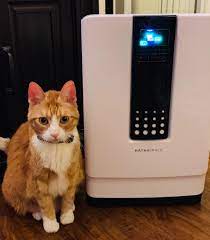Obviously, an air purifier isn't only useful for pet owners as it effectively removes dust and other stubborn airborne contaminants, such as pet dander, making it a necessity for almost every home. Best Air Purifiers For Pets 2021