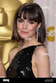 California rose hi-res stock photography and images