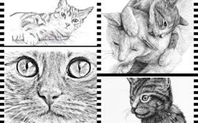 Dessin de chat mignon kawaii les dessins et coloriage. 1001 Exemples Et Tutoriels Comment Dessiner Un Chat