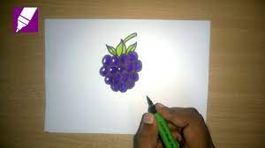 How To Draw A Blackberry | How To Draw Fruits | Easy Step By Step Drawing  For Kids - Youtube