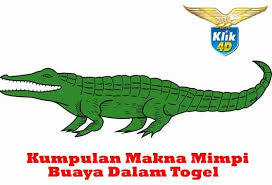 Apabila anda menglami mimpi dikejar buaya itu artinya anda akan segera mendapatkan musibah dalam waktu yang tidak. Paling Baru Buku Mimpi 4d Buaya Doxs Wheel Gallery