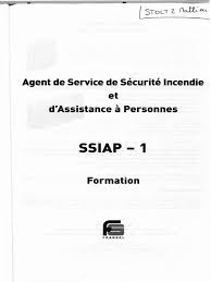 Maybe you would like to learn more about one of these? Ssiap 1 La Combustion Combustible