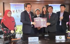 Yun fook resources sdn bhd is halal certified by jakim malaysia. Ums To Set Up Durian Research Farm Project