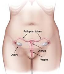 Male with a midline incisional hernia after a laparotomy. Hysterectomy Cherokee Women S Health