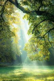Nature In 2020 Nature Photography Nature Beautiful Nature