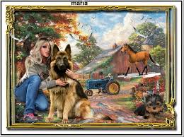 gifs chiens - Le Monde des Gifs