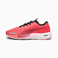 Image result for Vitro 2002 Puma