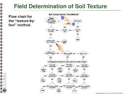 Ppt Soil Texture Particle Size Distribution And Soil