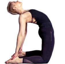 Maybe you would like to learn more about one of these? Yin Yoga In Vienna Training On Yin Yoga With Sati Tias Suitable For Beginners