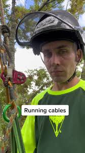 Robert Brame Arborist