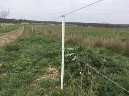 We would be happy to help you choose the right fencing for your farm energizers and electric fence chargers energizers & electric fence chargers takes in electrical. Electric Fencing For Livestock Economical Effective The Pastoralist