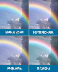 Html color codes, color names, and color chart with all hexadecimal, rgb, hsl, color ranges, and swatches. Web Design Tip Designing For The Color Blind D6 Interactive Dallas Web Design Fort Worth Web Design