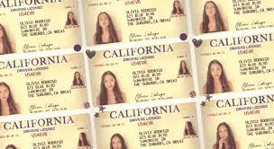 Olivia rodrigo's 'drivers license' is on its way to being the first runaway hit of 2021. Concept To Spotify Canvas Olivia Rodrigo S Drivers License Celebrityaccess