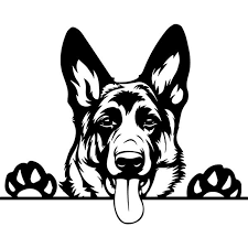 Pin On Cutting Images