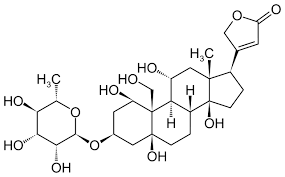 Image result for Strophanthus gardeniiflorus