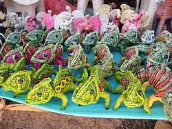 Image result for Raphia ruwenzorica