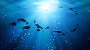 3002 x 1935 jpeg 859 кб. Deep Ocean Wallpapers Wallpaper Cave