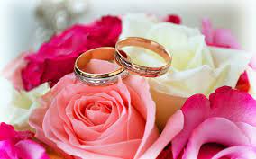 Check spelling or type a new query. Love Wallpaper Images Of Flowers 1000x625 Wallpaper Teahub Io