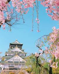 Looking for the best osaka wallpaper? Osaka Castle Osaka Japan å¤§é˜ªåŸŽ å¤§é˜ª æ—¥æœ¬ Sakura Cherryblossom æ¡œ Osaka Castle Japan Travel Osaka Japan