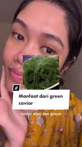 Manfaat Green Caviar untuk Kulit