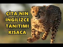 Cita Ingilizce Tanitimi Kisaca Youtube