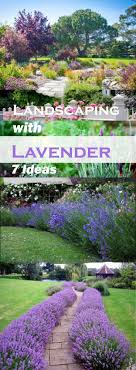 Landscaping With Lavender 7 Garden Design Ideas Front Yard Landscaping Backyard Landscaping Lavender Garden