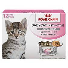 Royal Canin Feline Health Nutrition Mother Babycat Wet Cat Food 3 Oz Can 12 Count Baby Cats Kitten Food Royal Canin