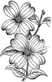 Clipart Etc Flower Sketches Flower Drawing Floral Drawing