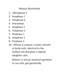 Jul 20, 2021 · students learn about mutations to both dna and chromosomes, and uncontrolled changes to the genetic code. Meiosis Worksheet