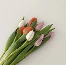 Pin By Jtkjdm On Flowers Pretty Flowers Flower Aesthetic Planting Flowers