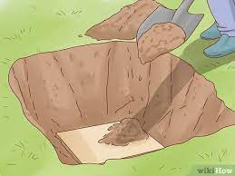3 Cara Untuk Menguburkan Hewan Peliharaan Wikihow