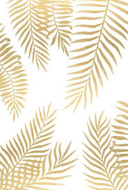 Coconut Beauty Products Vegan Cruelty Free Fondos De Pantalla Dorados Fondos Para Iphone Iphone Fondos De Pantalla