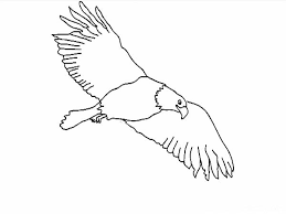 There's something for everyone from beginners to the advanced. Eagle The Sky Predator Coloring Page Coloring Sun
