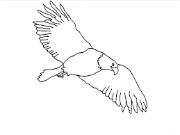 We did not find results for: Eagle The Sky Predator Coloring Page Coloring Sun