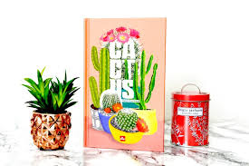 3 mini pots en terre cuite. Cactus Comment Bien S En Occuper La Minute D Emy Blog Lifestyle